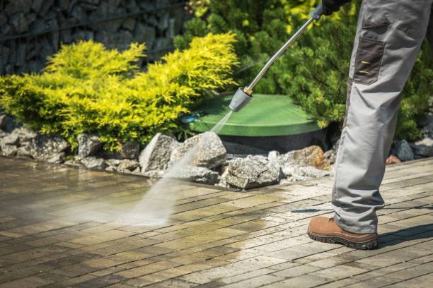 Best Winterizing Services  in Adwolf, VA